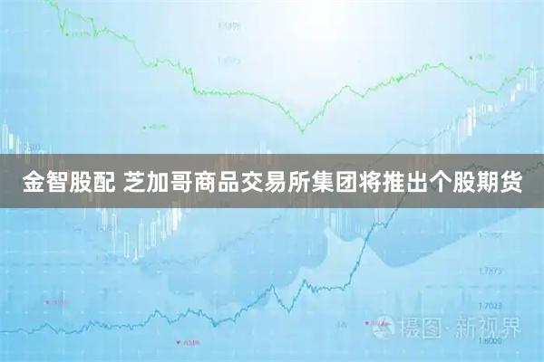 金智股配 芝加哥商品交易所集团将推出个股期货