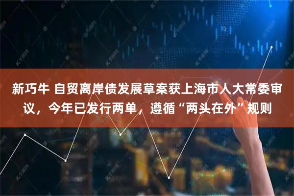新巧牛 自贸离岸债发展草案获上海市人大常委审议，今年已发行两单，遵循“两头在外”规则